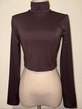 Zara Dark Brown Turtleneck Long Sleeve Crop Top